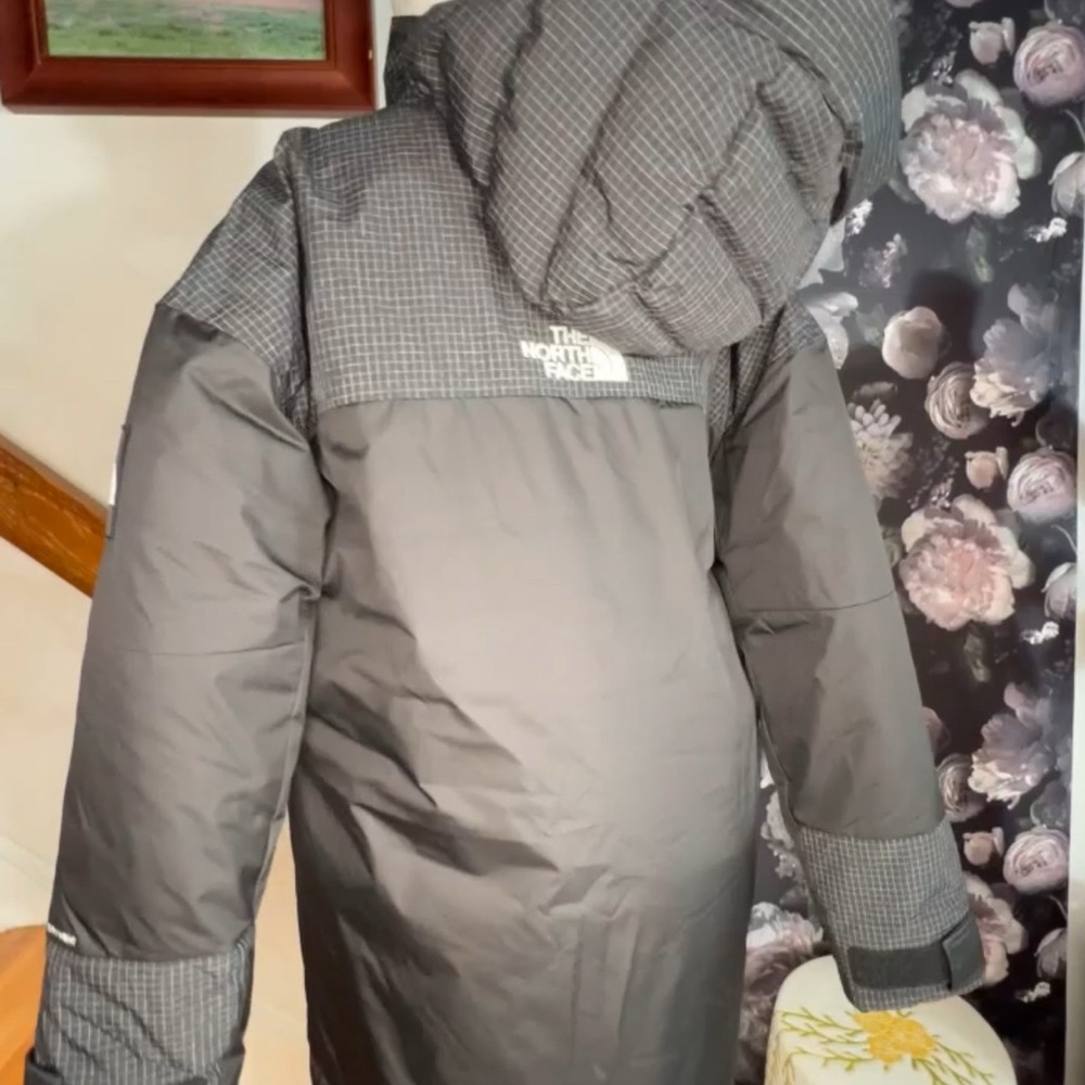 The North Face Rusta DryVent Jacket - Picture 4 of 11
